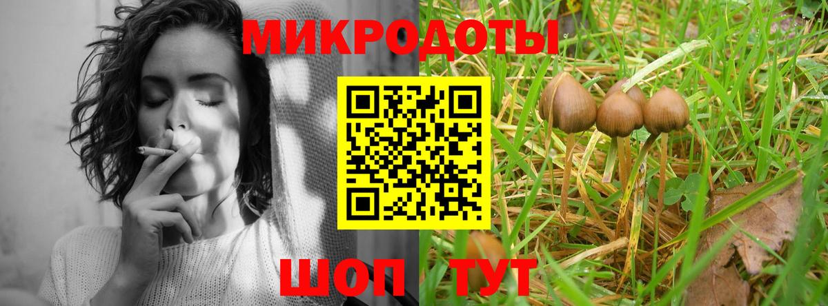Галлюциногенные грибы Cubensis Аксай