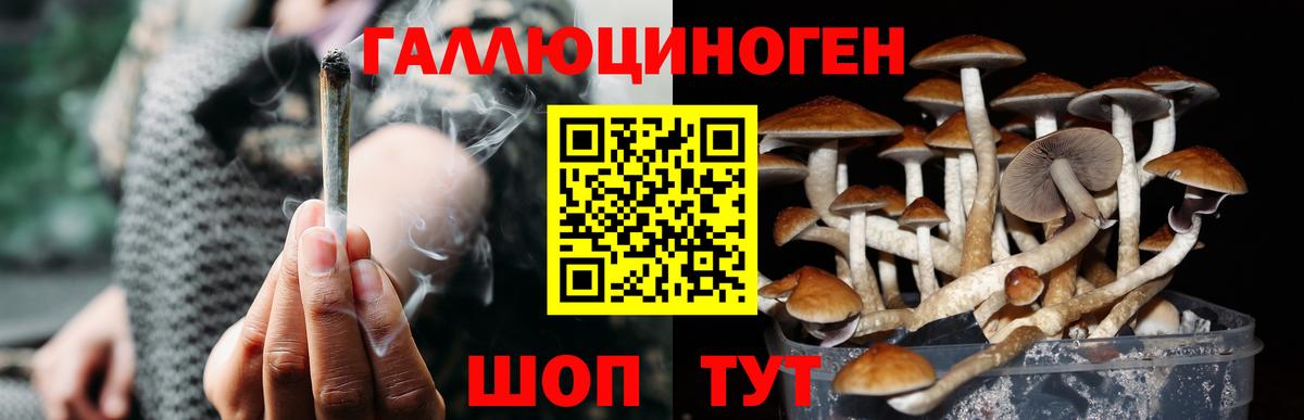 Аксай  Галлюциногенные грибы Magic Shrooms  Вход с VPN  Псилоцибиновые грибы Magic Shrooms 