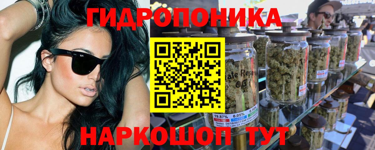 Бошки Шишки планчик Аксай